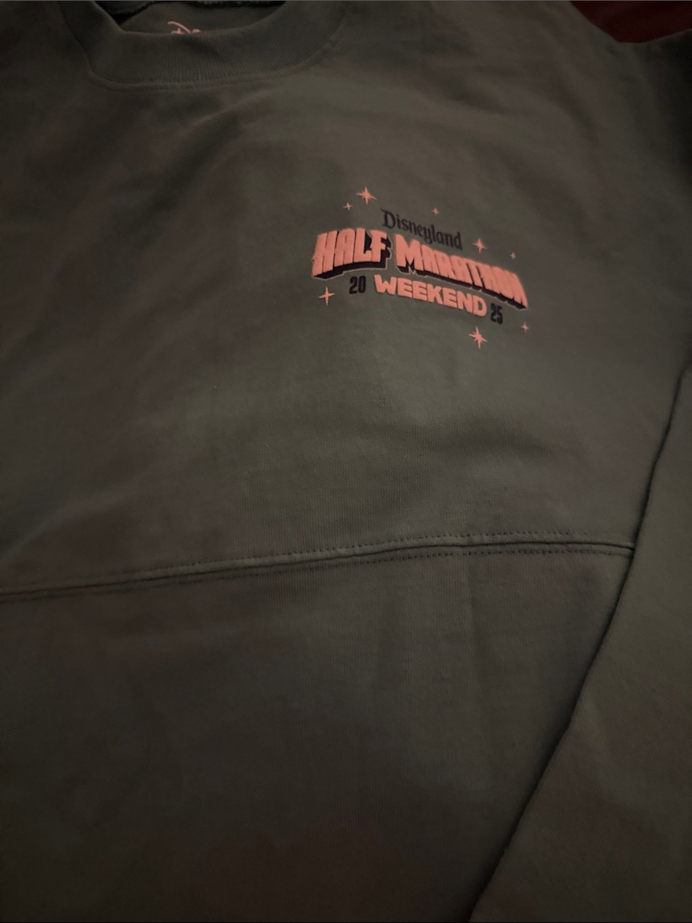 Disneyland Run Disney 2025 Spirit Jersey